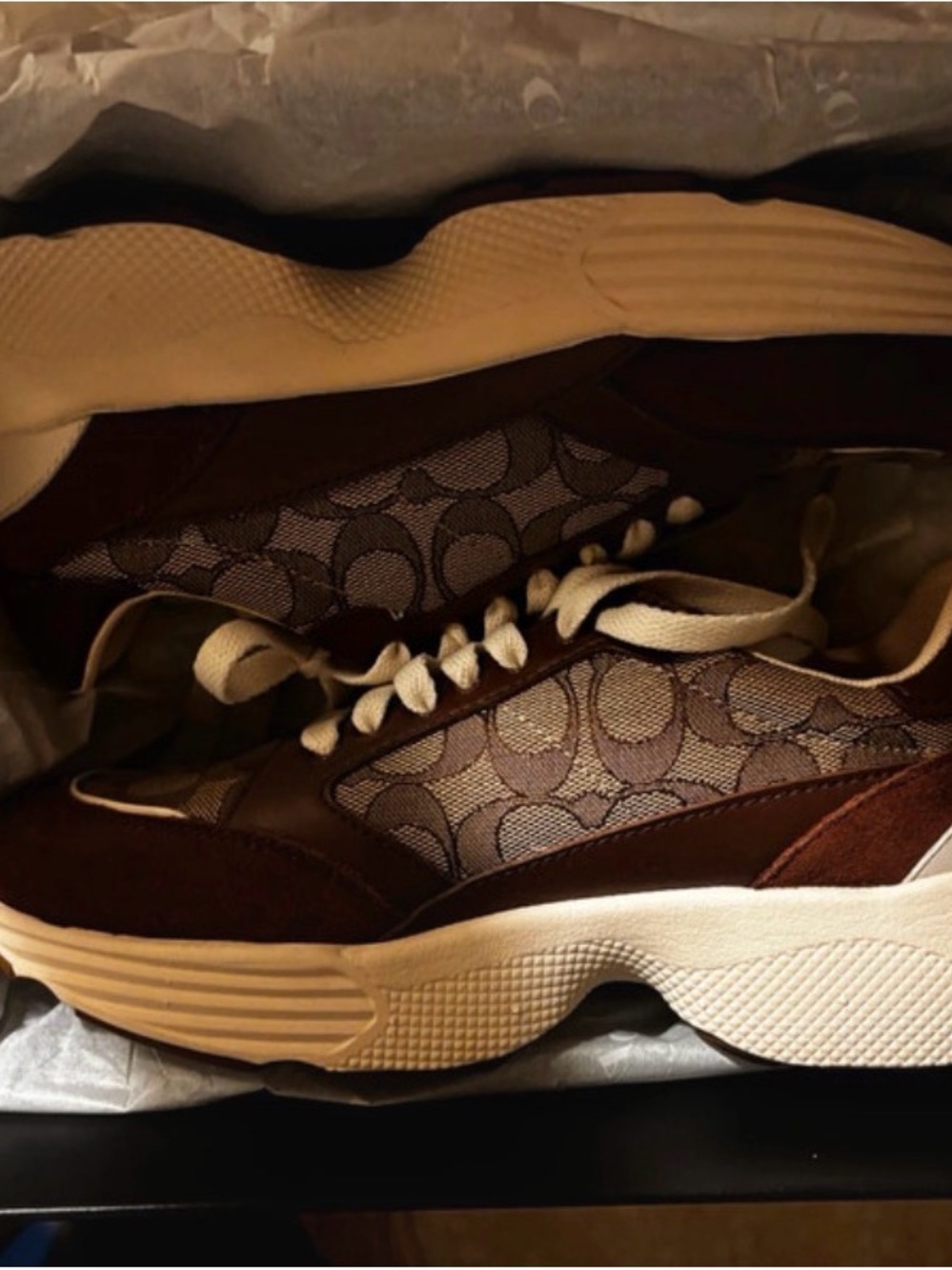Coach Sig Tech Runner shoes